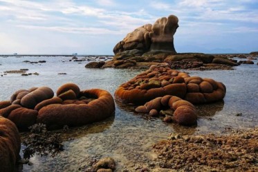 Khu du lịch sinh thái biển Hòn Cau – Bình Thuận